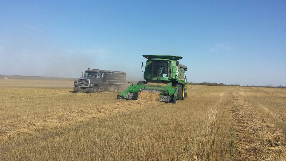 Prairie Organics: Think Whole Farm Conference