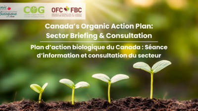 Your Input Needed: Canada’s Organic Action Plan – A Strategic Roadmap for Sector Growth